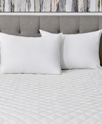 AllerEase - Reserve 100% Cotton Cover Pillow, Standard/Queen White