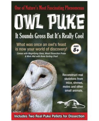 Areyougame - Owl Puke Educational Game Kit