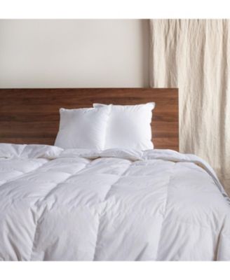 Bokser Home - 2 Pack - 20" x 20" Down Alternative Throw Pillow Insert White